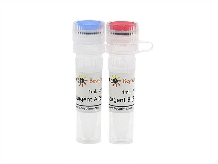 SABC-AP Kit (IHC, ICC, Blotting&ELISA)